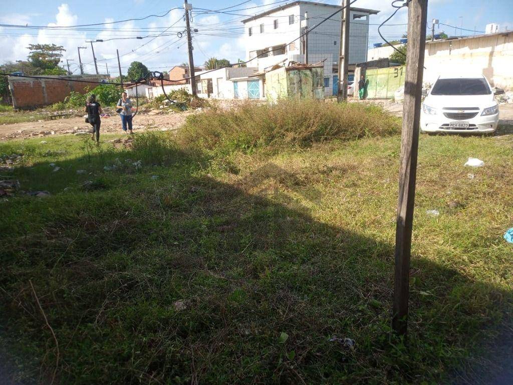 Terreno, 250 m² - Foto 15