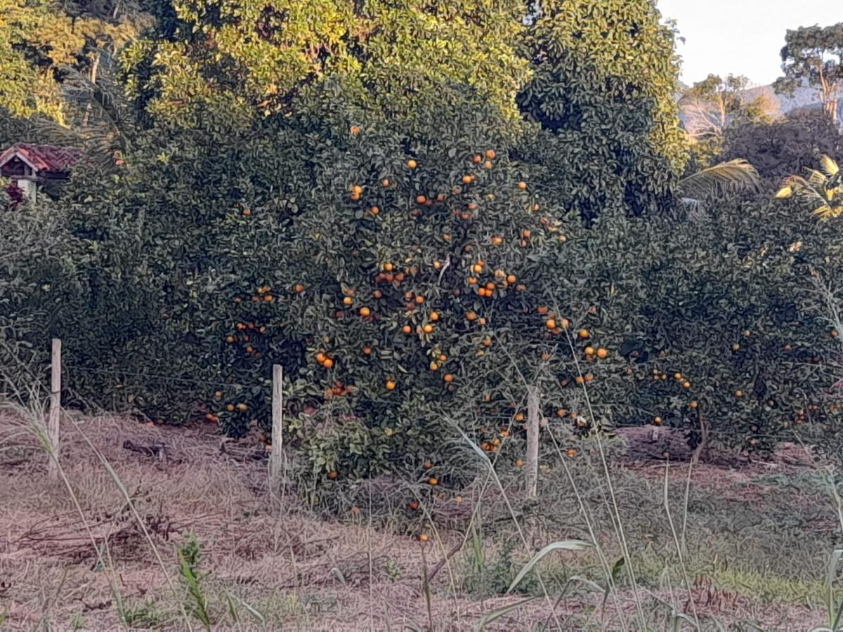 Terreno à venda, 5000m² - Foto 5