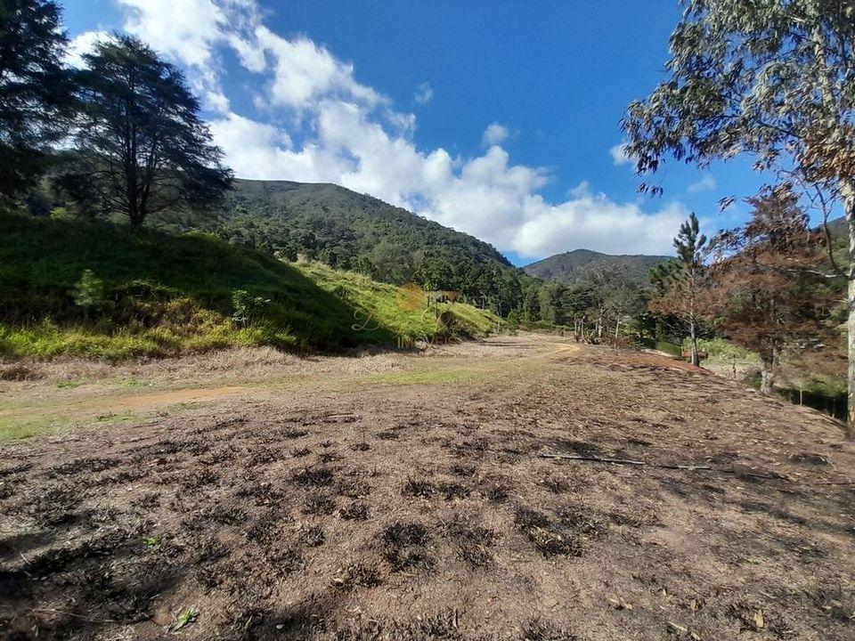 Fazenda à venda com 5 quartos, 122000m² - Foto 36