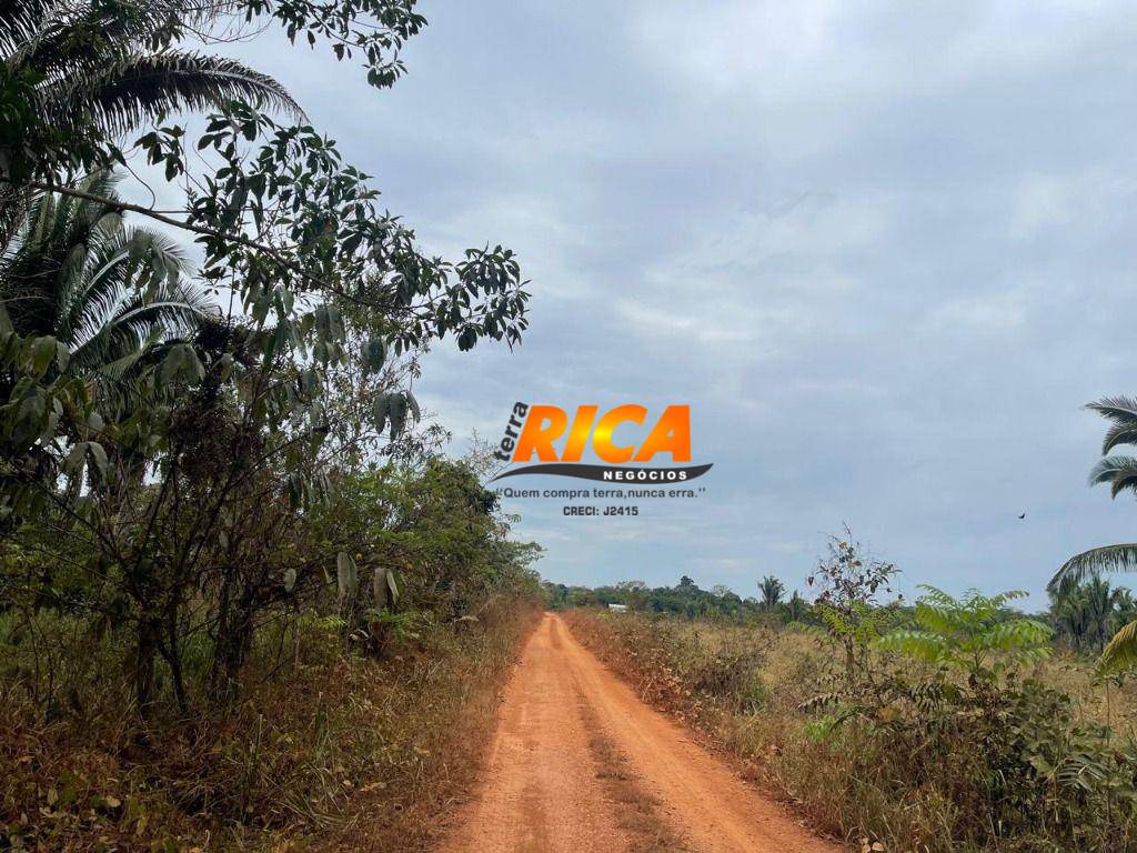 Sítio, 12 hectares - Foto 2