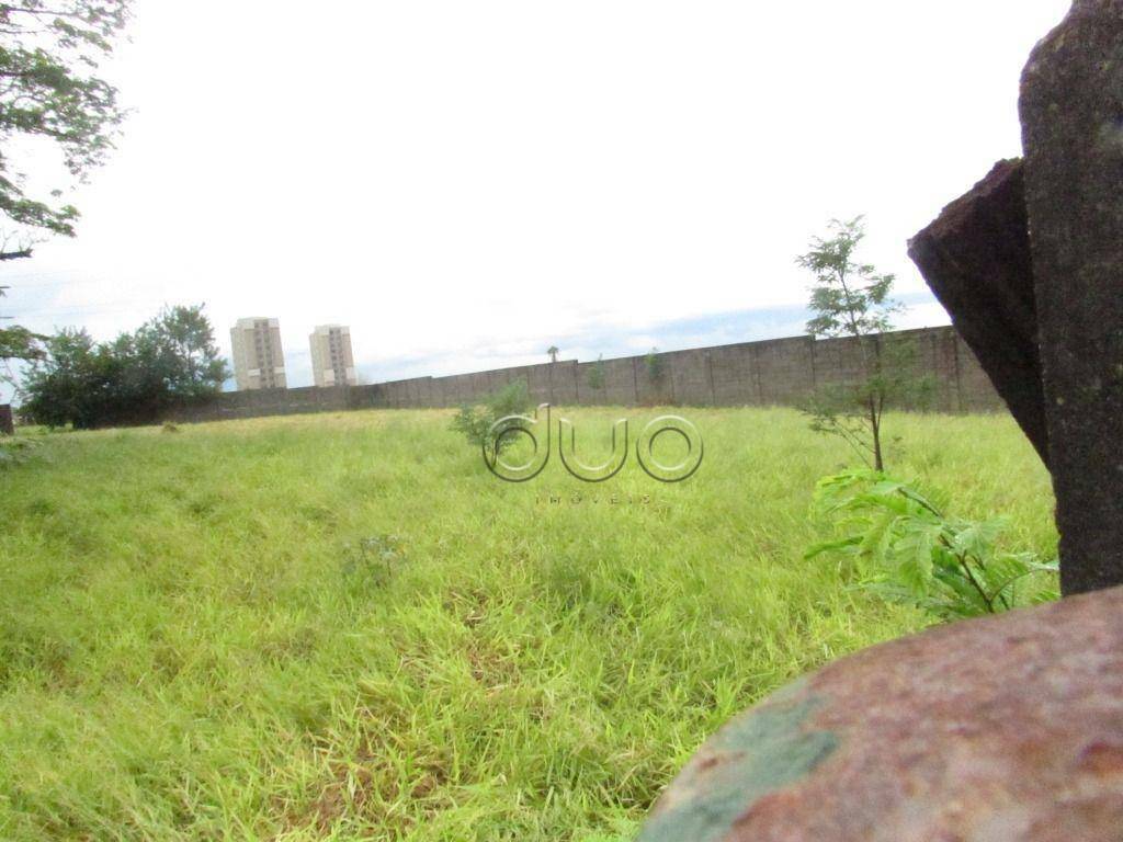 Terreno para alugar, 5000M2 - Foto 5