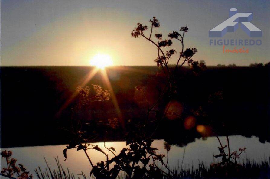 Sítio, 4 hectares - Foto 22