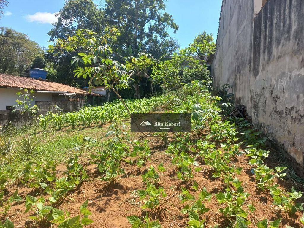 Terreno à venda, 250M2 - Foto 5