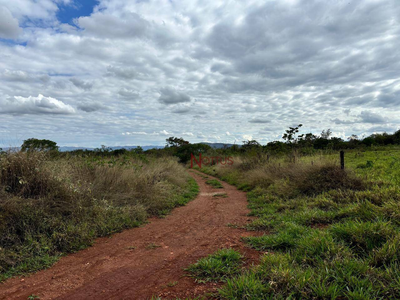 Terreno à venda, 1500M2 - Foto 3