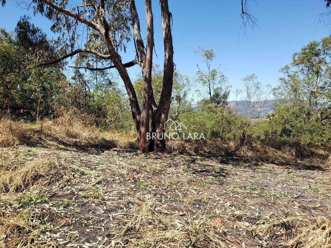 Terreno à venda, 60000M2 - Foto 15