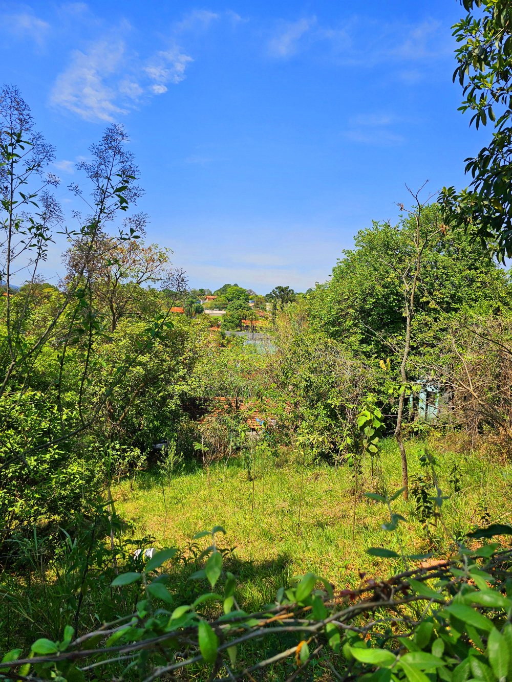 Terreno à venda, 125m² - Foto 28