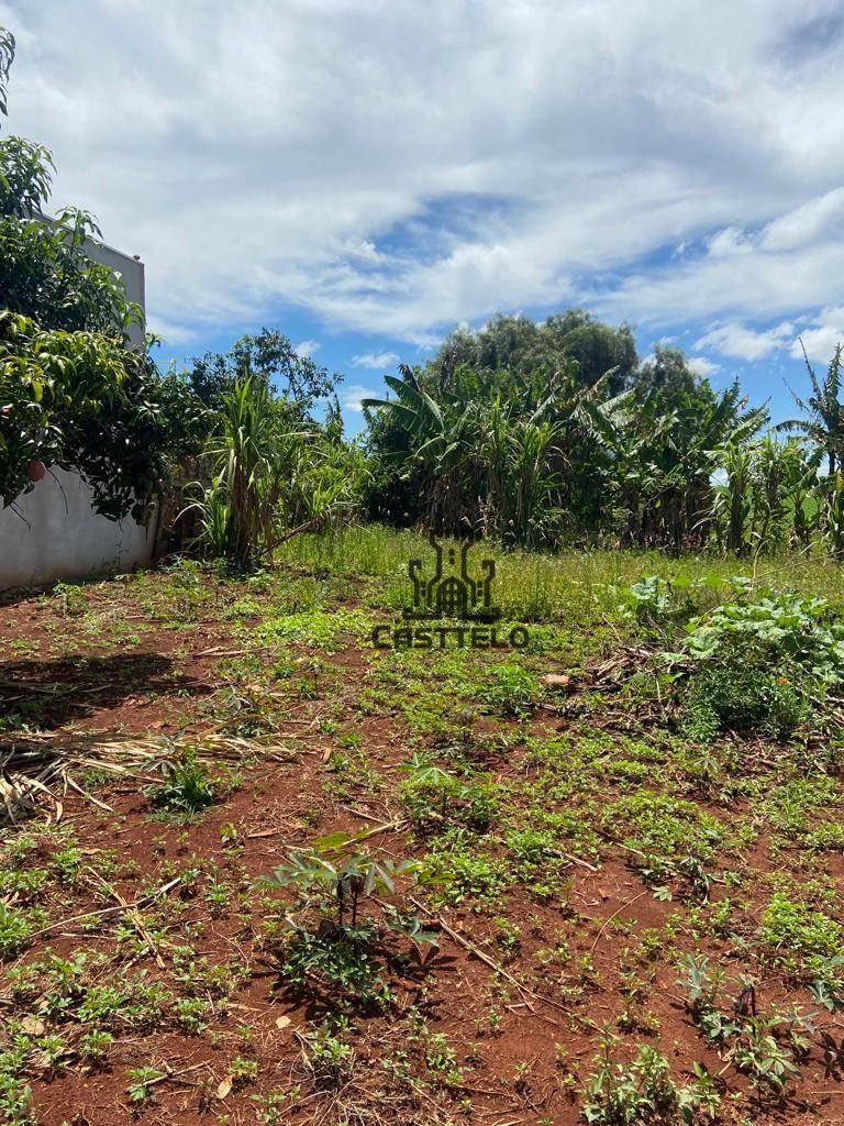 Chácara à venda com 5 quartos, 1300M2 - Foto 14