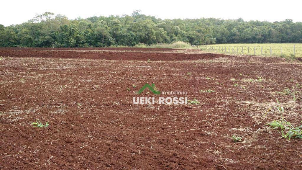 Fazenda à venda, 13840000M2 - Foto 4