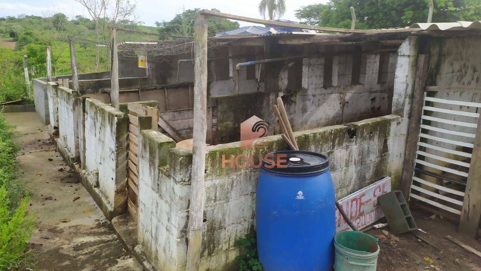 Fazenda à venda com 2 quartos, 133000M2 - Foto 4