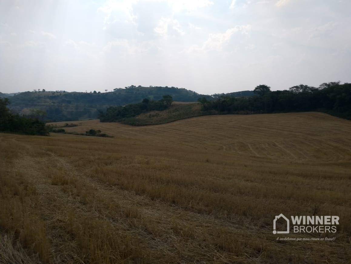 Fazenda à venda, 1379400M2 - Foto 16