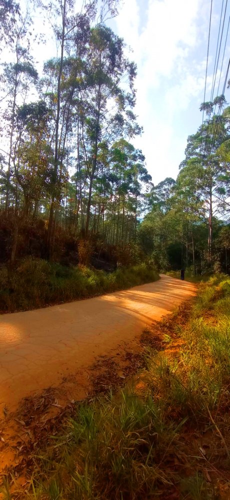 Fazenda à venda, 266200m² - Foto 13