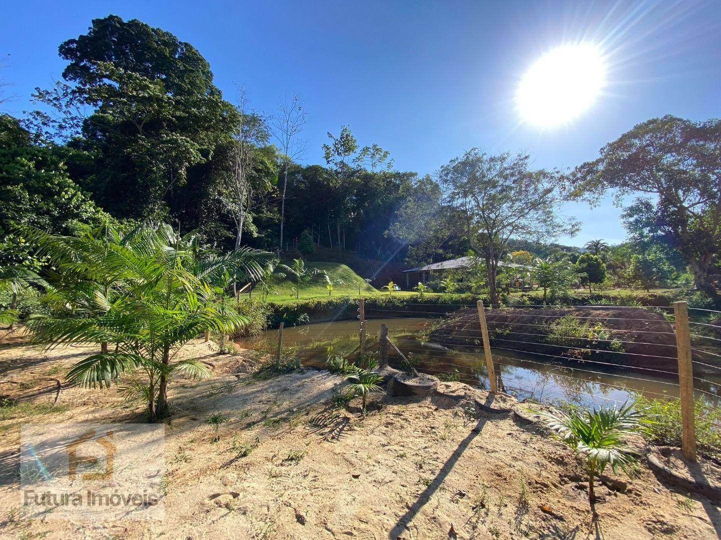Chácara à venda com 3 quartos, 6000M2 - Foto 7