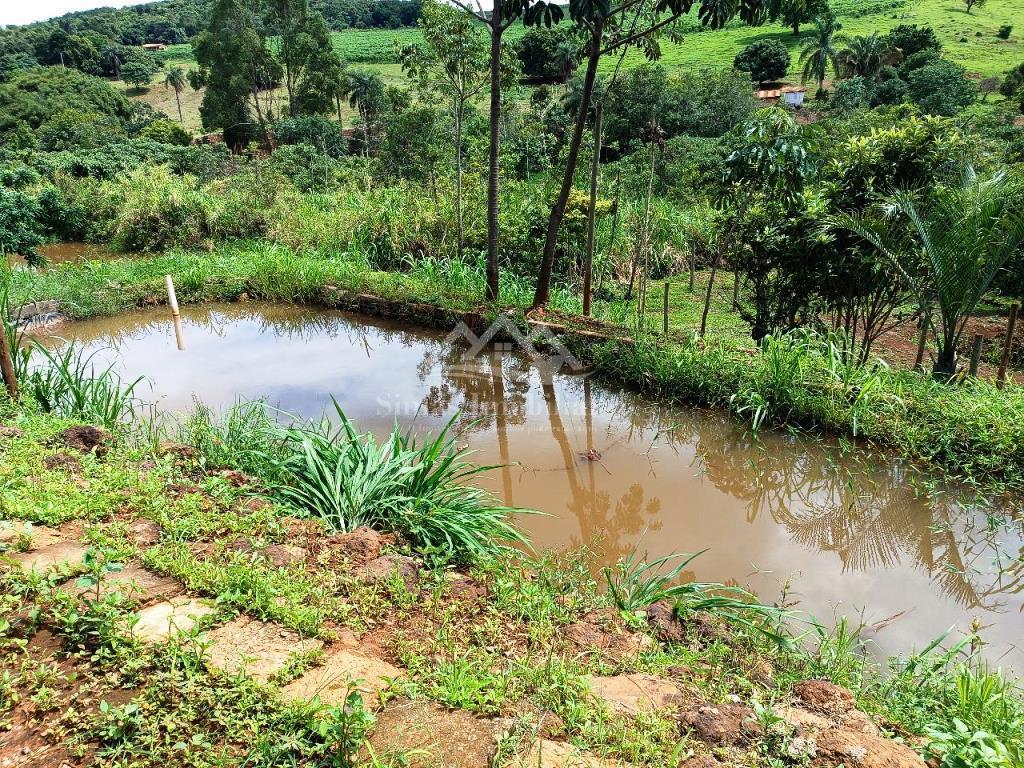 Fazenda à venda com 2 quartos, 3700m² - Foto 1