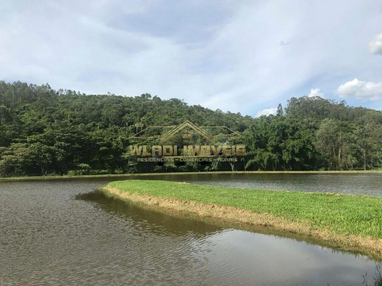 Fazenda à venda com 3 quartos, 14m² - Foto 20