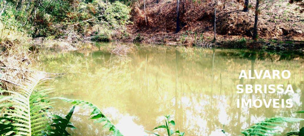 Sítio, 1 quarto, 14 hectares - Foto 12