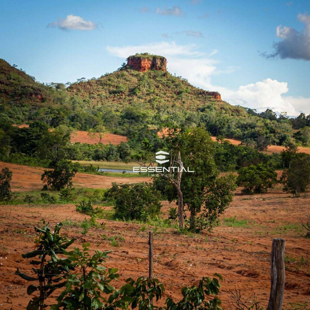 Fazenda, 5800 hectares - Foto 4