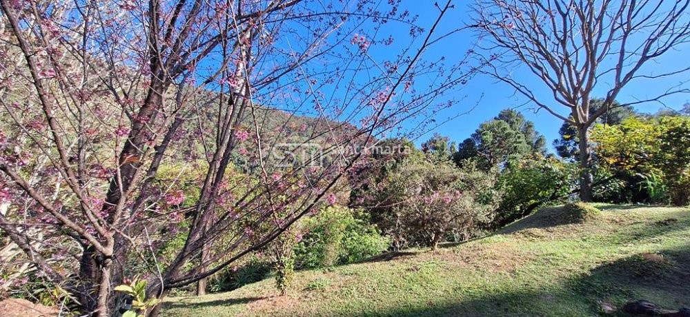 Fazenda à venda com 3 quartos, 64m² - Foto 21