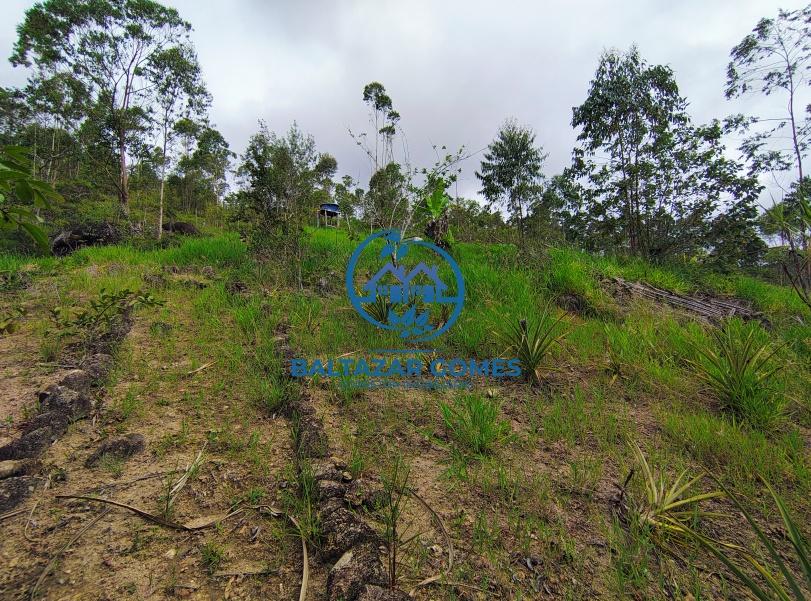 Fazenda à venda com 1 quarto, 1000m² - Foto 5