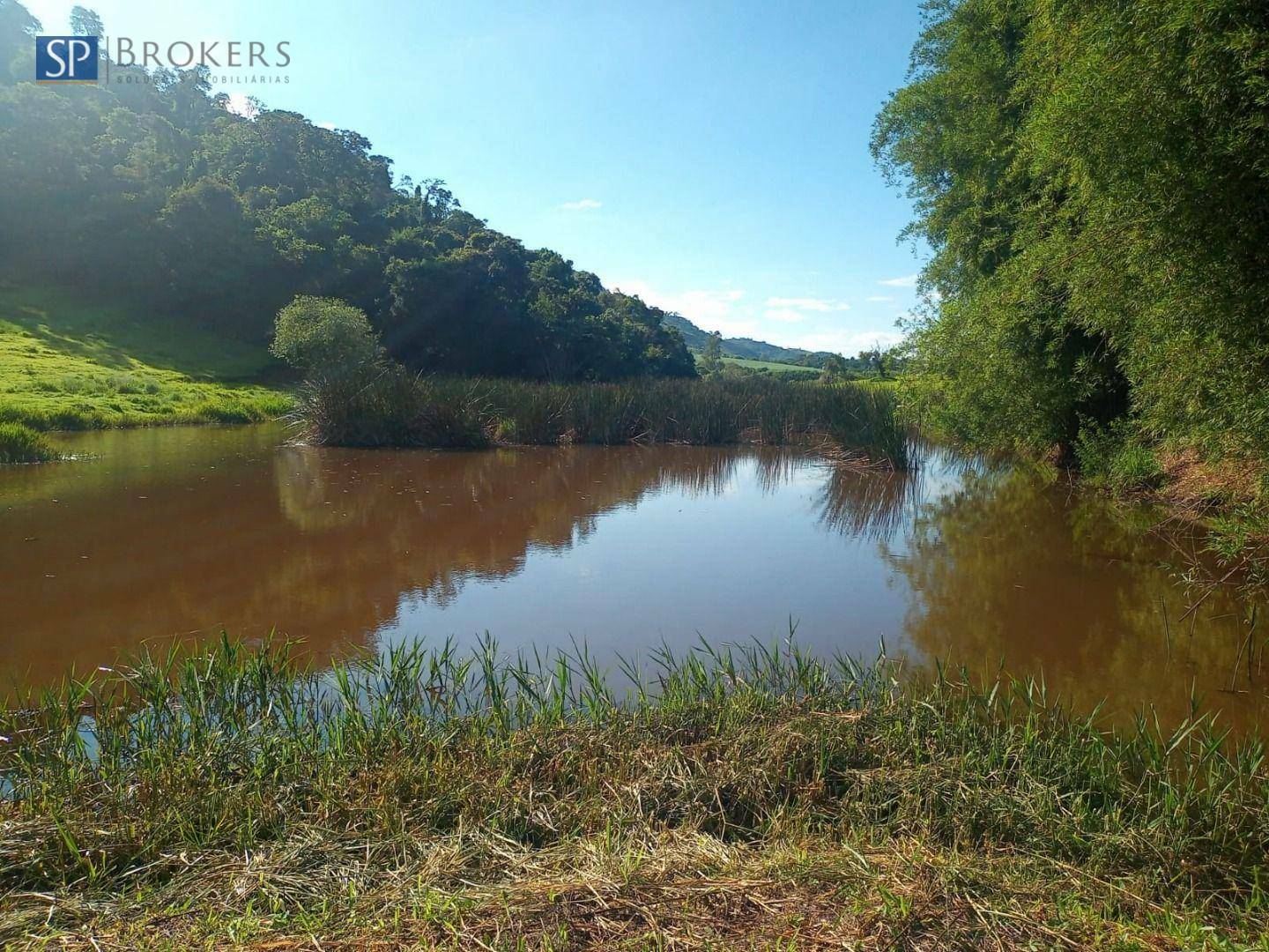 Fazenda à venda com 4 quartos, 400m² - Foto 17