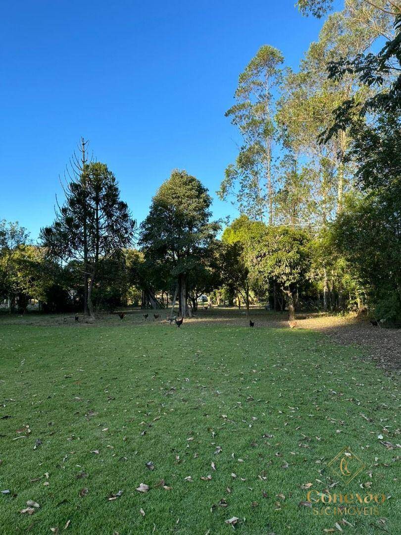 Chácara, 3 quartos, 5000 m² - Foto 40