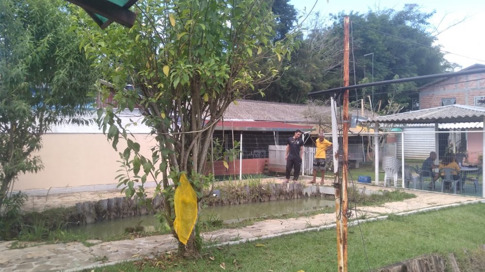 Fazenda à venda, 70m² - Foto 7