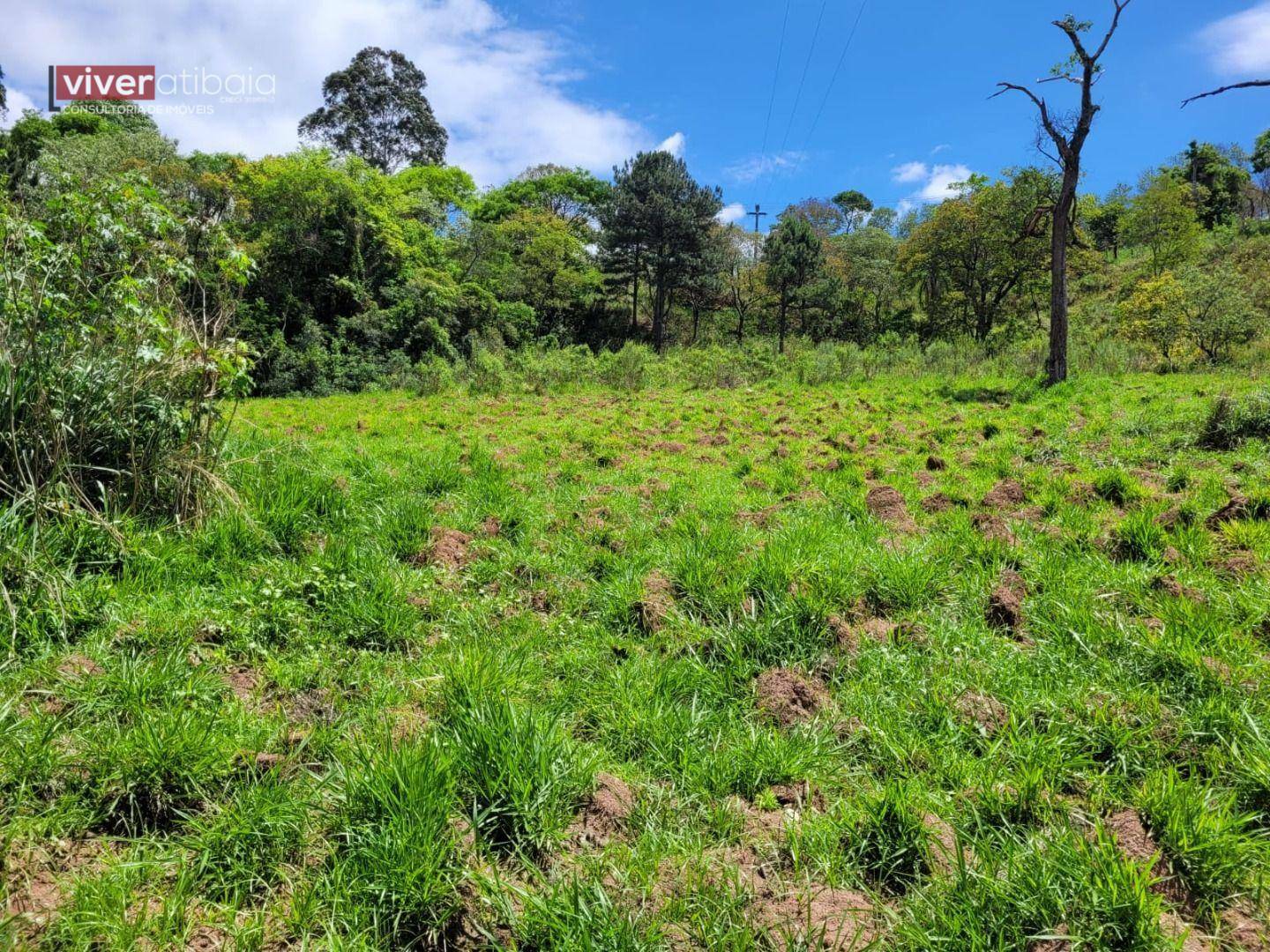 Terreno à venda, 17779M2 - Foto 3