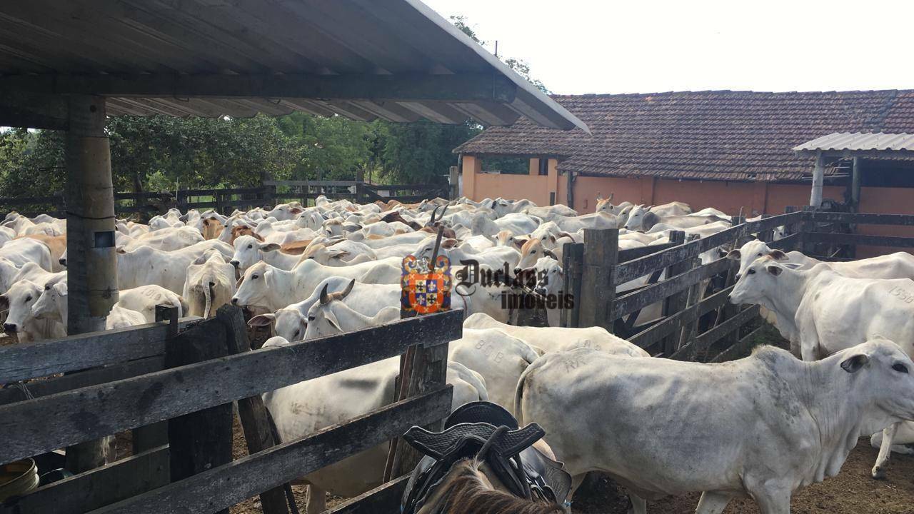 Fazenda à venda, 1258400M2 - Foto 6