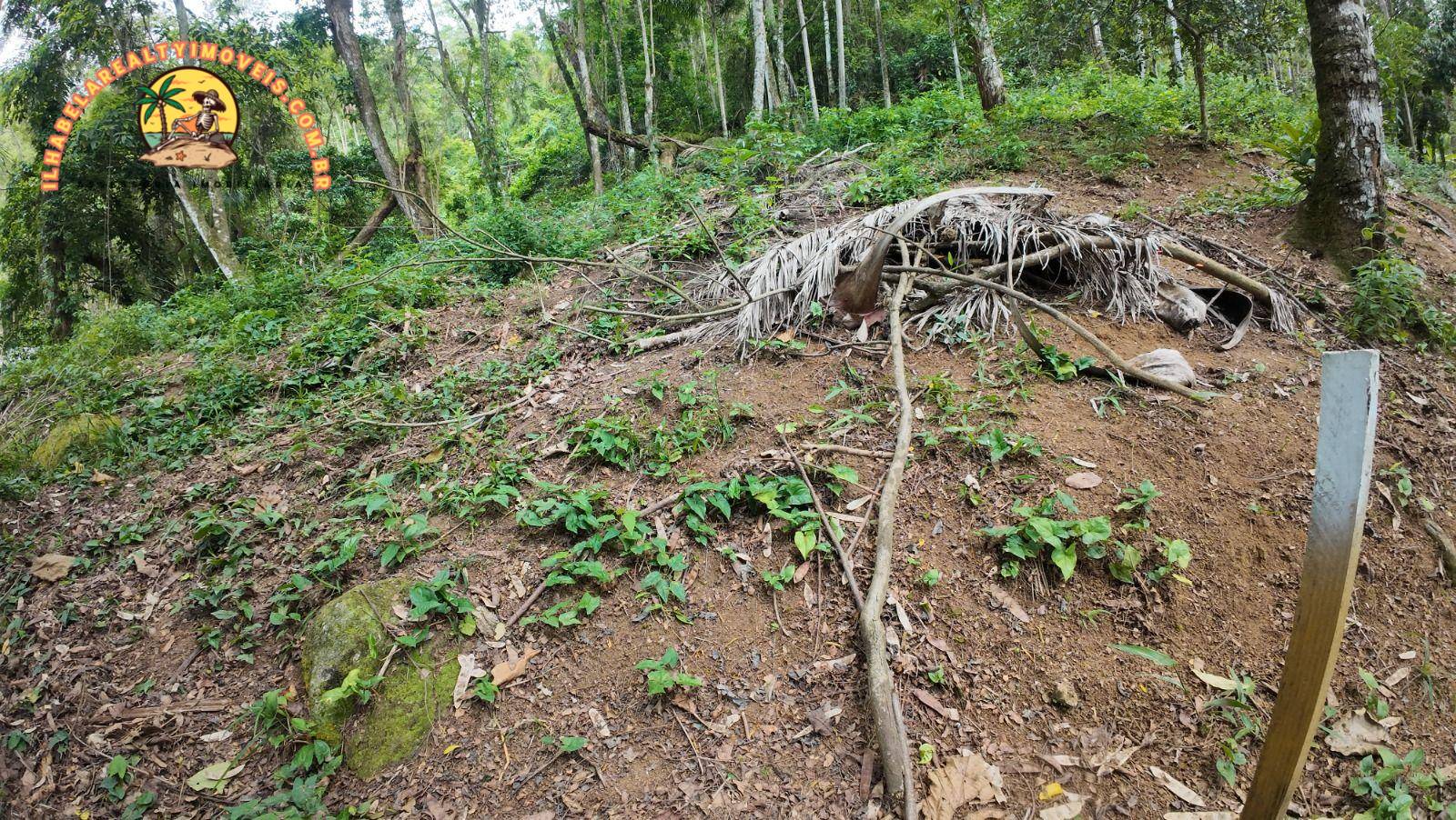 Terreno, 1 hectares - Foto 1