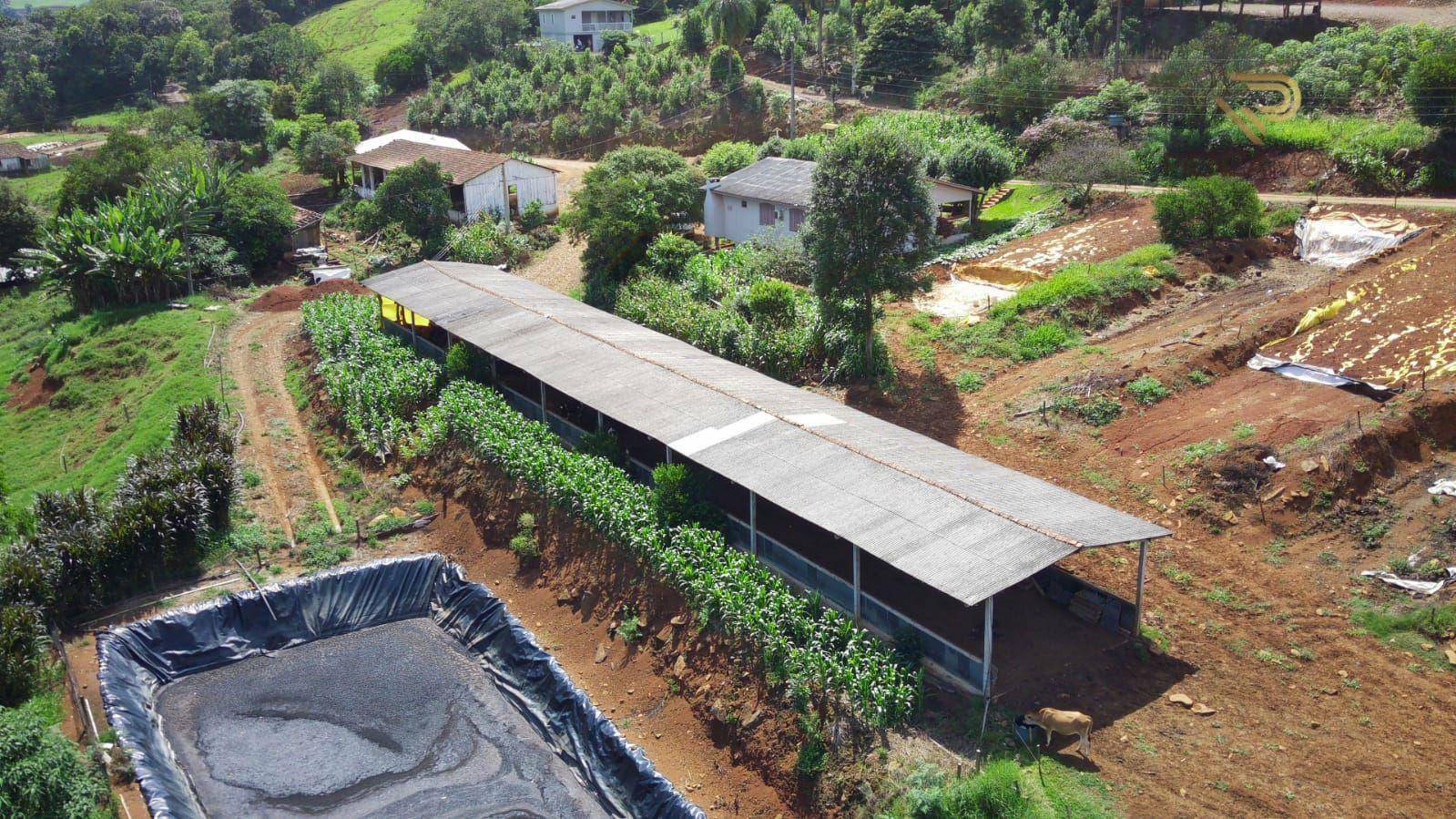 Terreno à venda, 101000M2 - Foto 5