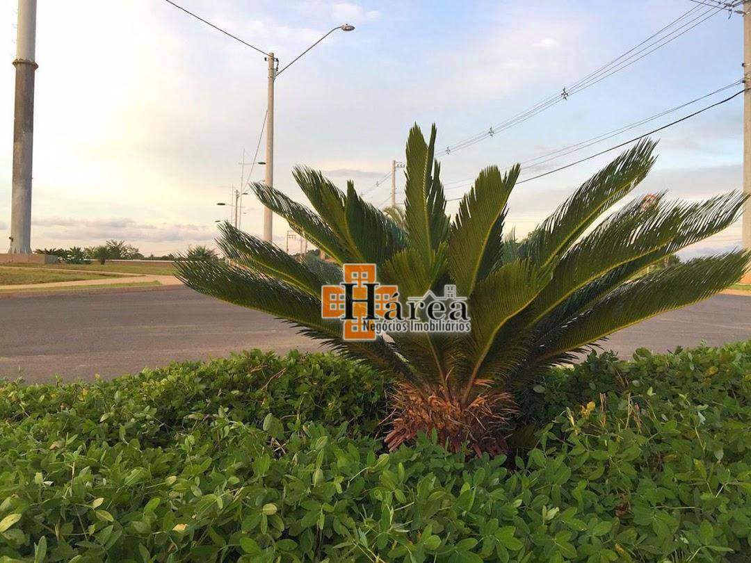 Loteamento e Condomínio à venda, 250M2 - Foto 12