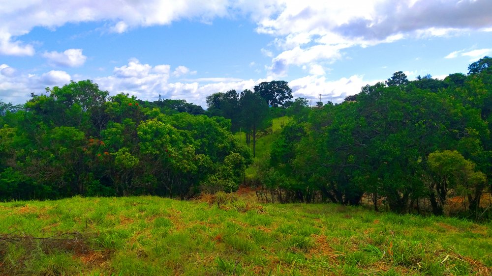 Terreno à venda, 1300m² - Foto 7