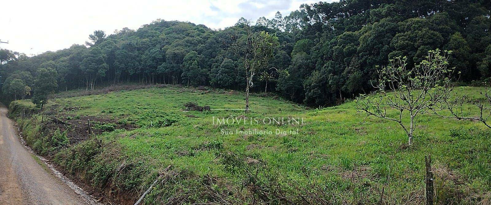 Chácara, 2 hectares - Foto 1