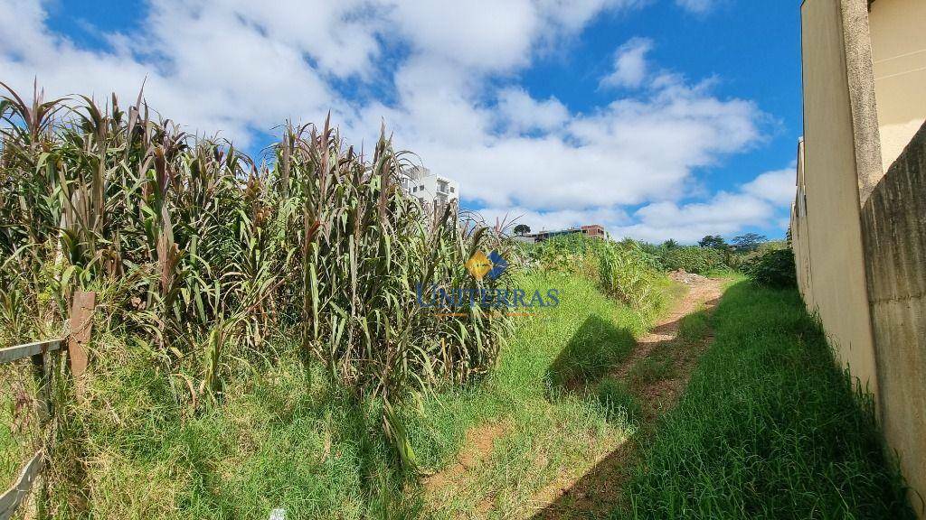 Terreno à venda, 1298M2 - Foto 11