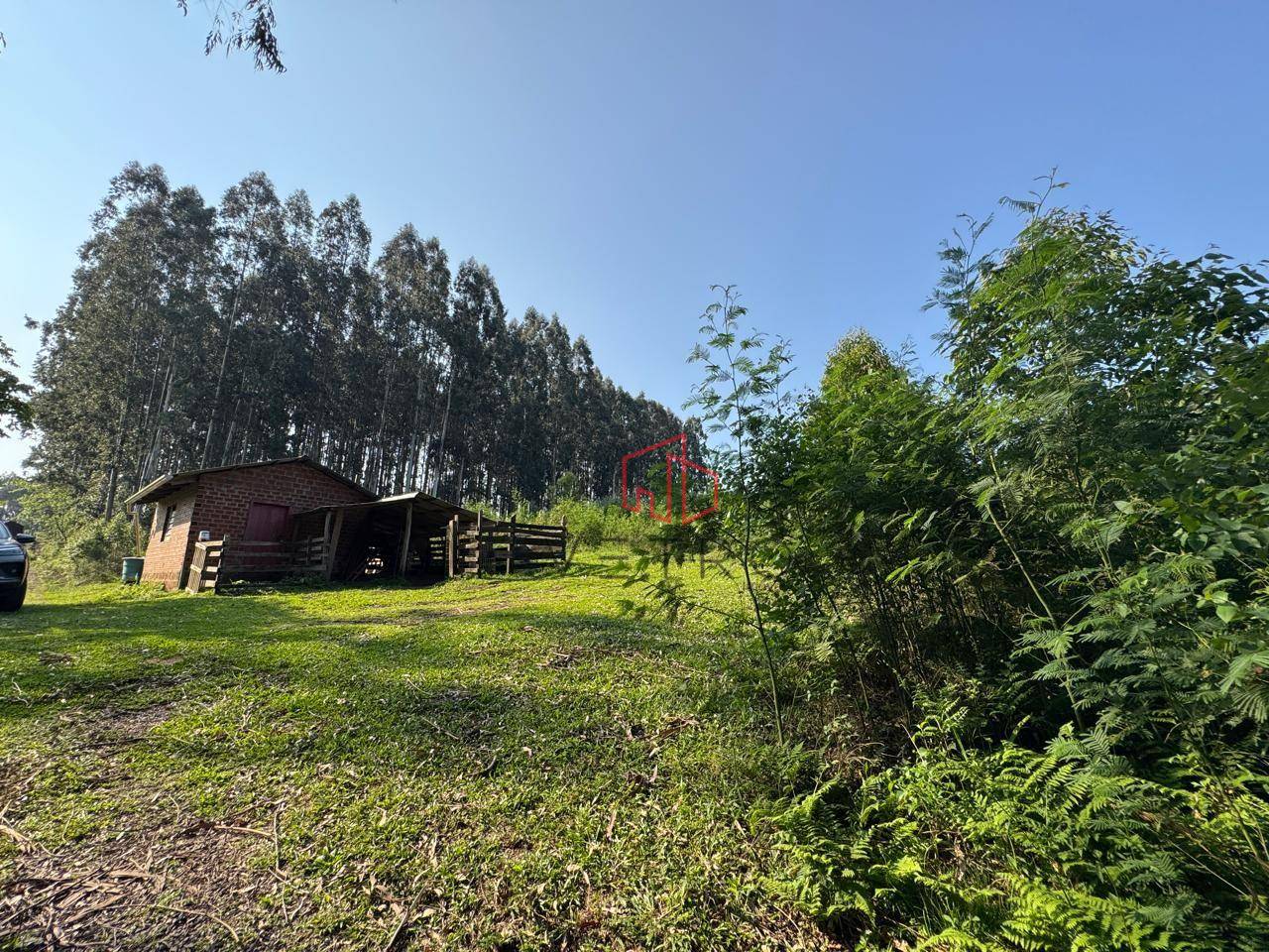 Sítio, 10 hectares - Foto 5