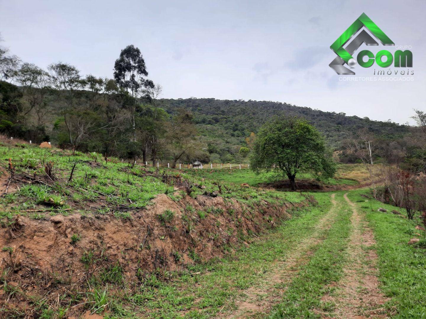 Terreno à venda, 20000M2 - Foto 10