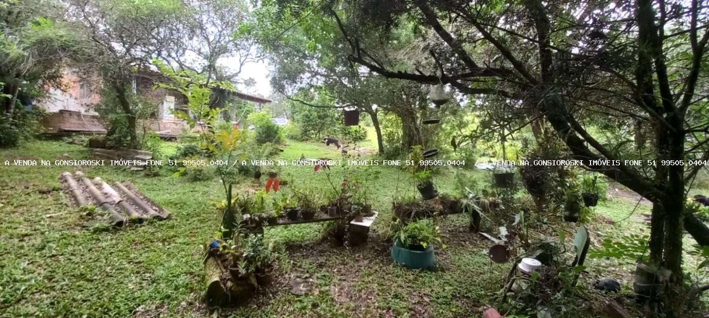 Fazenda à venda com 3 quartos, 3m² - Foto 4