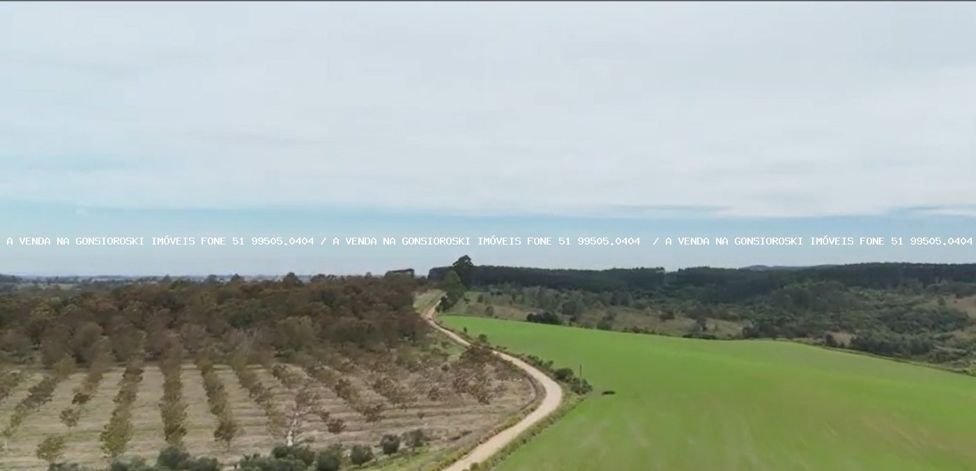 Fazenda à venda, 630000m² - Foto 10