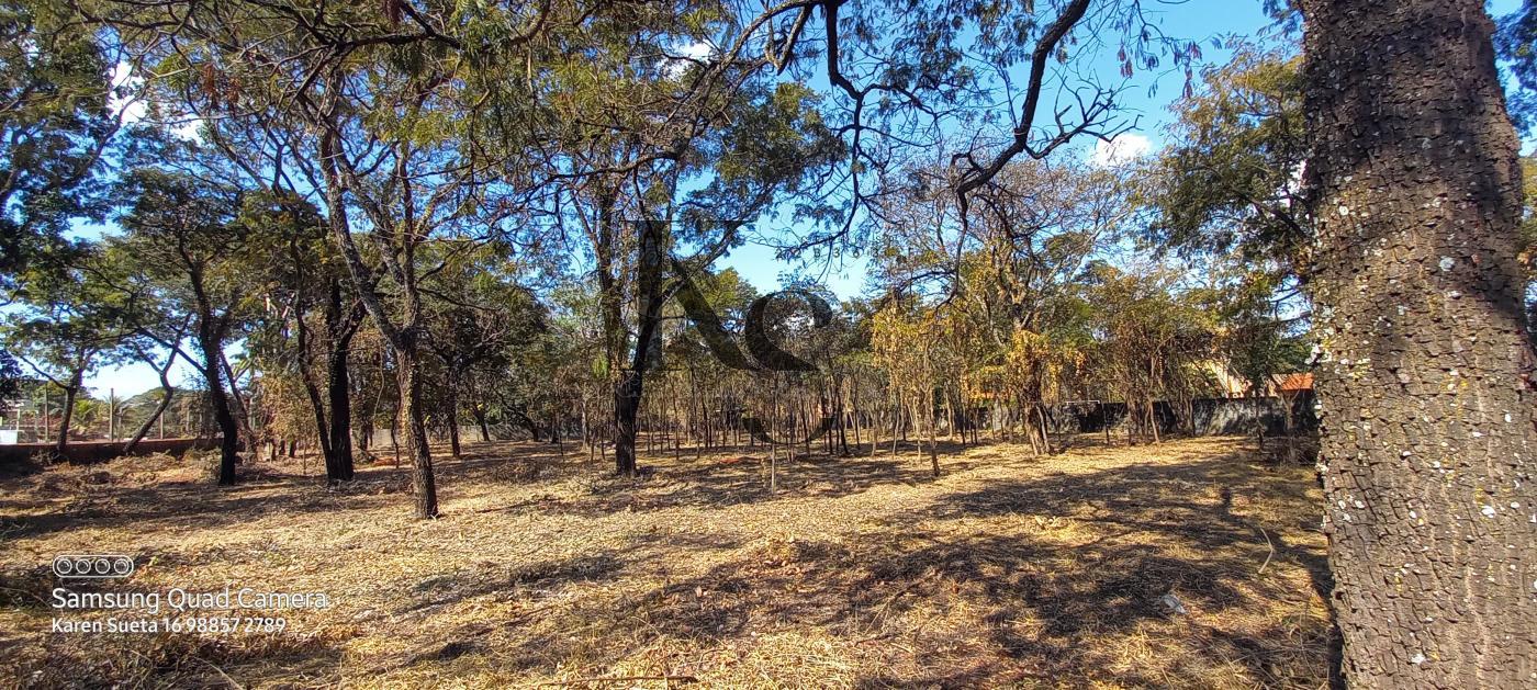 Fazenda à venda, 5850m² - Foto 6