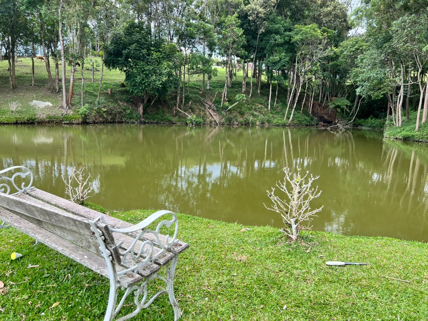 Fazenda à venda, 24200m² - Foto 10