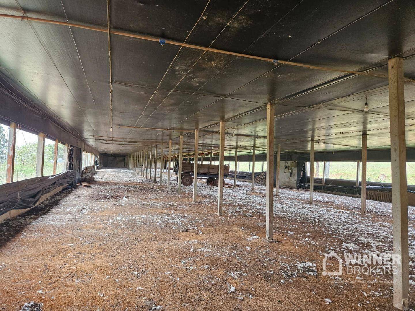 Sítio à venda com 3 quartos, 28000M2 - Foto 22