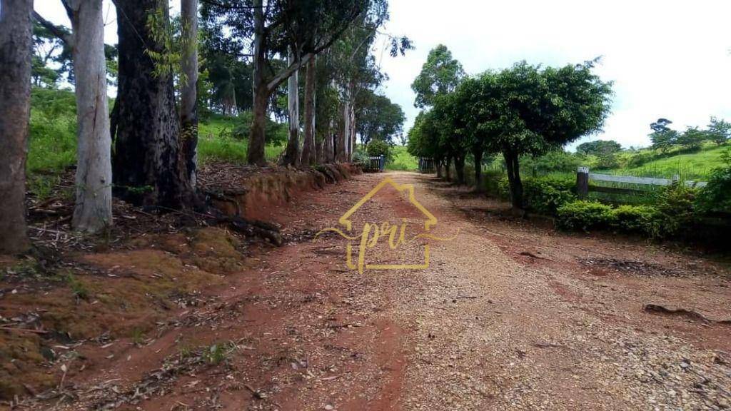 Fazenda à venda com 1 quarto, 1000m² - Foto 7