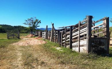 Fazenda à venda com 2 quartos, 210000m² - Foto 11