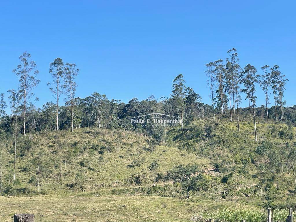 Fazenda à venda com 5 quartos, 320m² - Foto 2