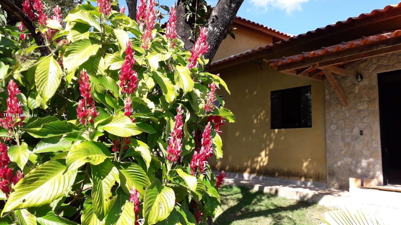 Fazenda à venda com 2 quartos, 10m² - Foto 59