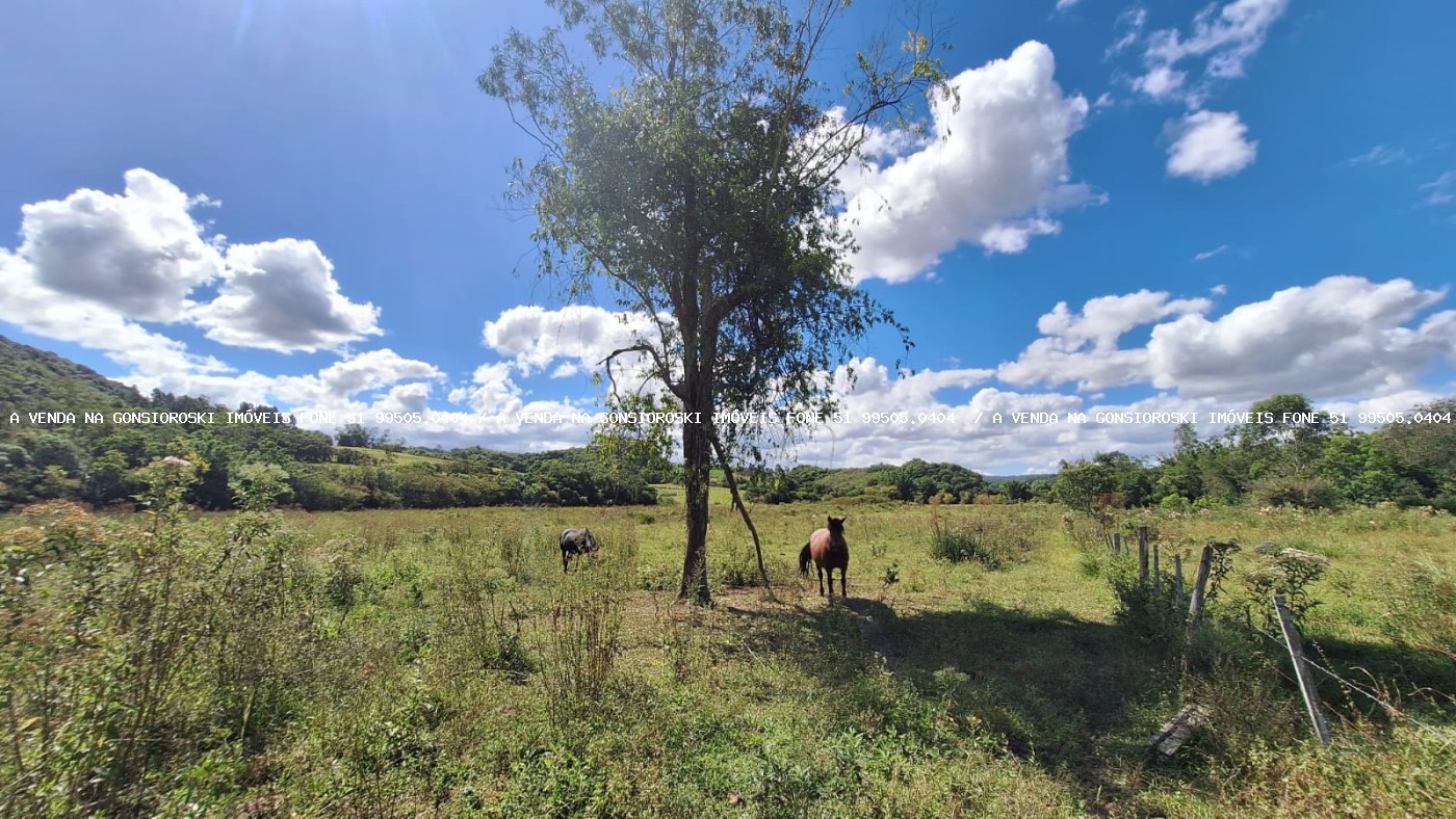 Loteamento e Condomínio à venda, 375000m² - Foto 9