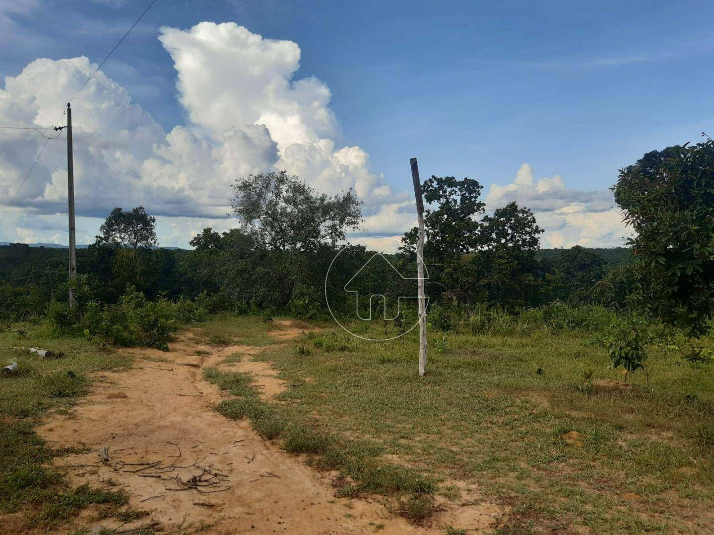 Fazenda à venda, 726000M2 - Foto 6