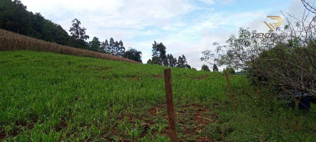 Terreno à venda, 169000M2 - Foto 17