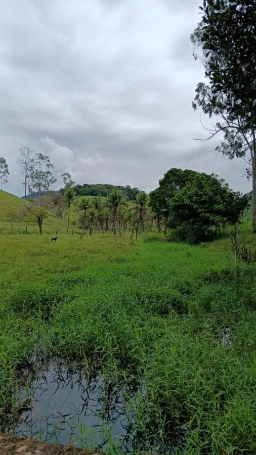 Fazenda à venda com 2 quartos, 96000m² - Foto 13