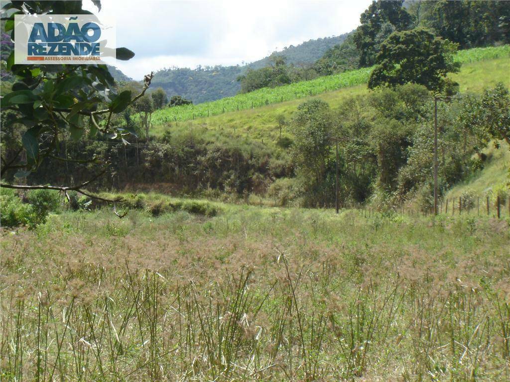 Fazenda à venda com 4 quartos, 1150000M2 - Foto 47