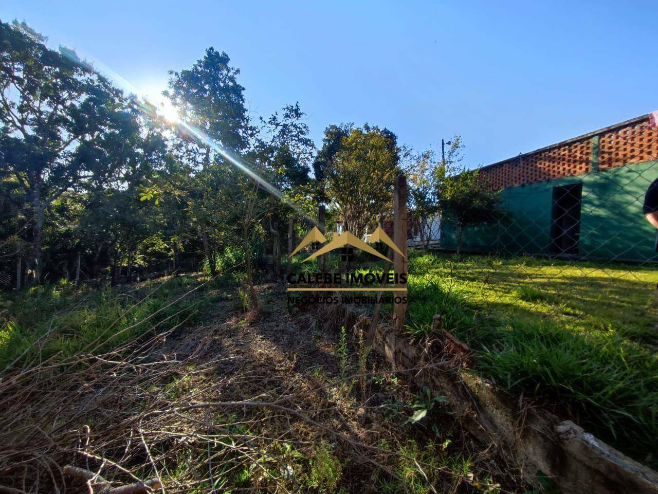 Chácara à venda com 3 quartos, 1800M2 - Foto 7